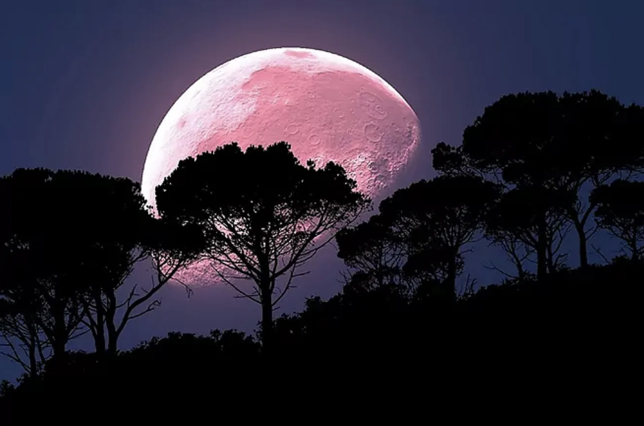 Pink Moon Horoscope: How could Aprils full moon affect you?