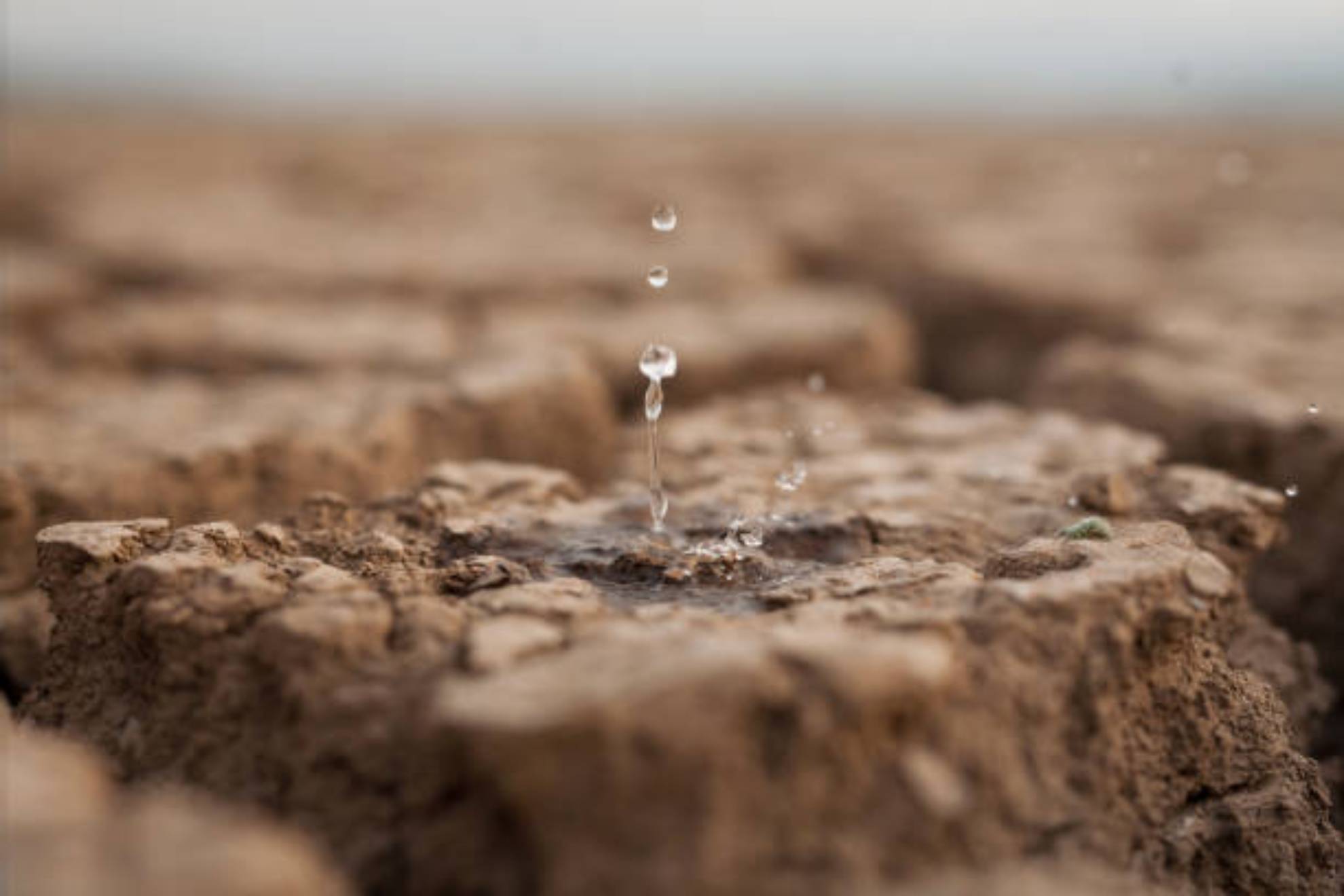 Embalses en Catalunya hoy, 30 de abril: Cul es el nivel de los pantanos y el estado de las reservas de agua hoy