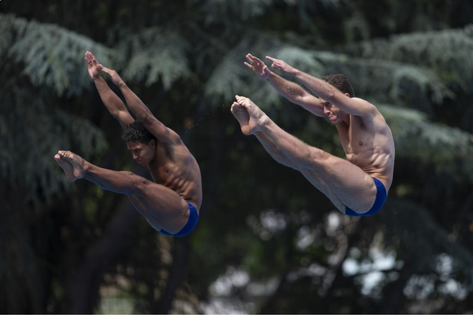 Natación - Últimas noticias