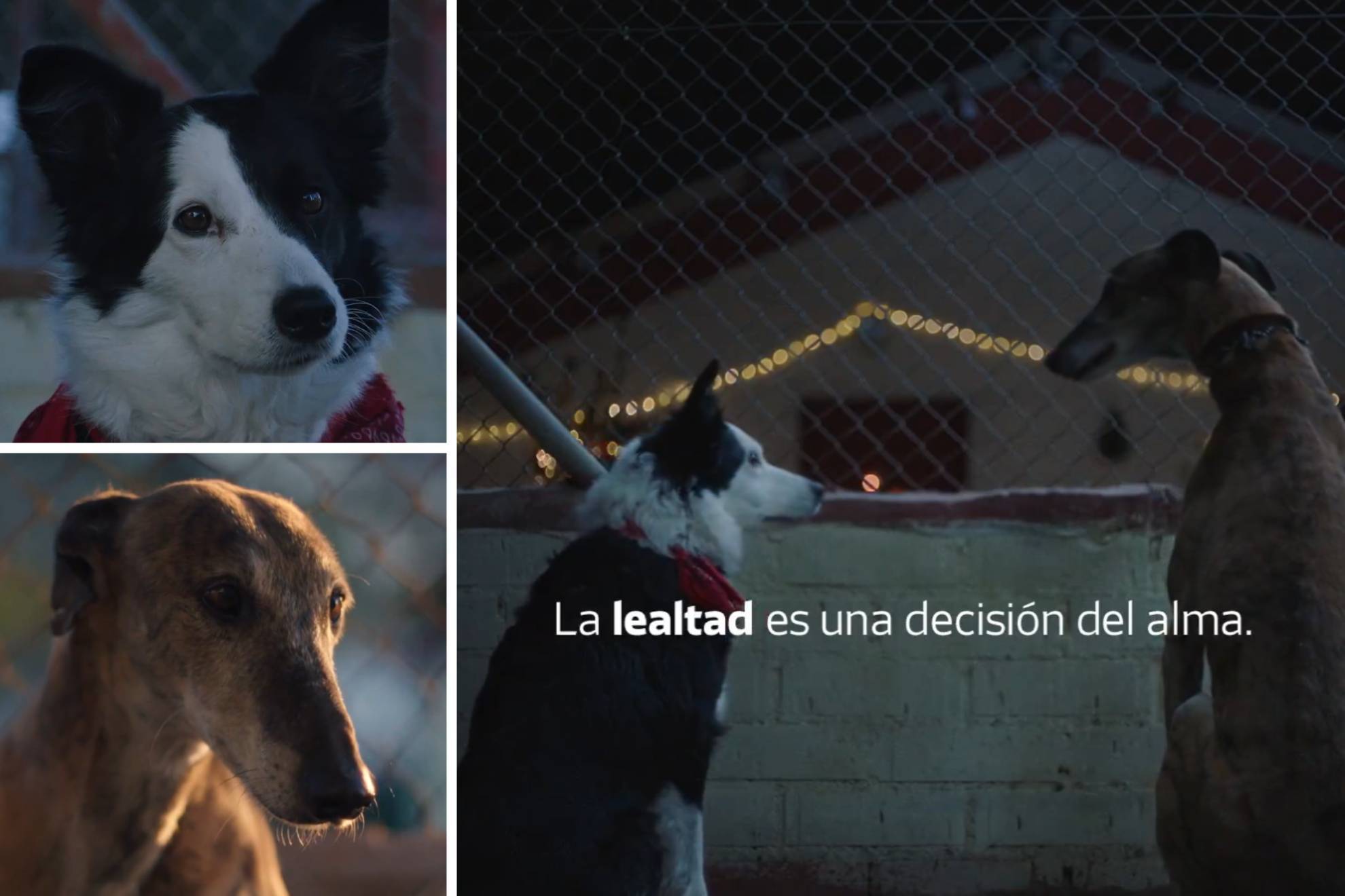 El spot navide�o del Atl�tico directo al alma que te sacar� una l�grima seas del equipo que seas