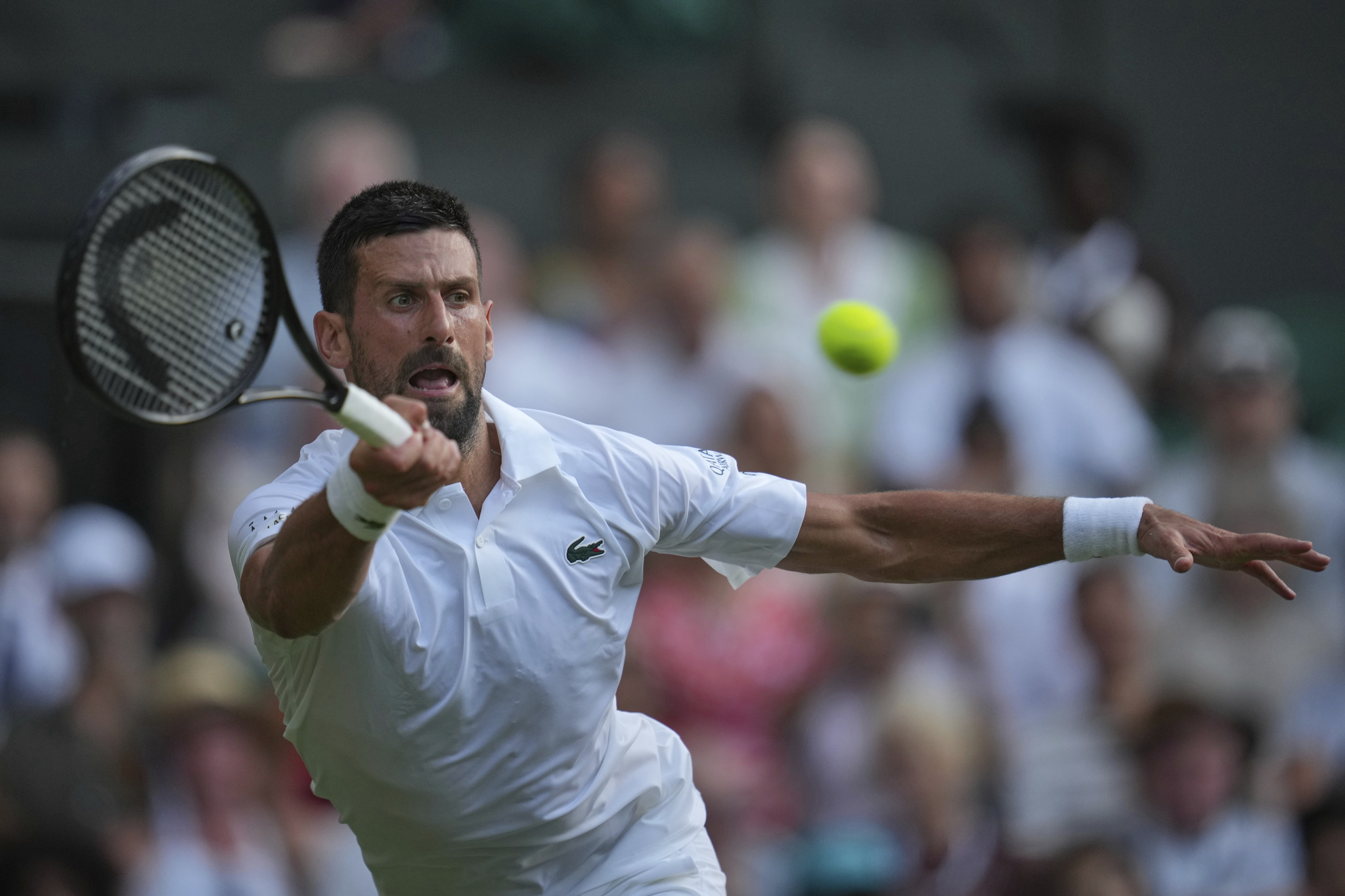 Muller vs Djokovic Live: Updates & Highlights