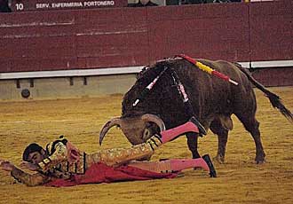 Miguel ngel Perera sufre una cogida en Castelln.