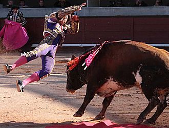 Barrera sale despedido tras la violenta paliza que le propin el toro de Cebada Gago