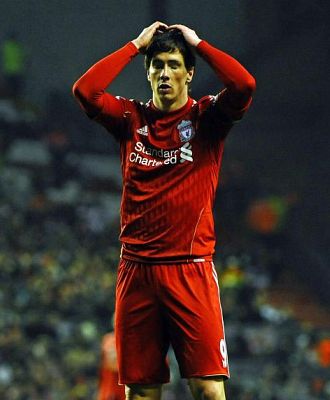 Fernando Torres, en un partido con el Liverpool