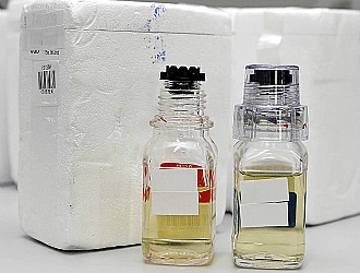 Los frascos con las muestras de un control antidopaje de orina, con la etiqueta identificativa oculta