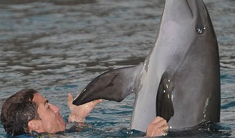 Cristiano juega con los delfines