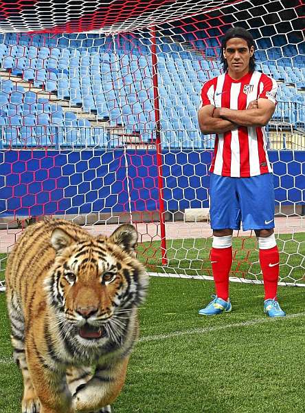 1345318101_extras_mosaico_noticia_1_g_0.jpg