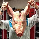 Una cabeza de cerdo en el vestuario del Stoke