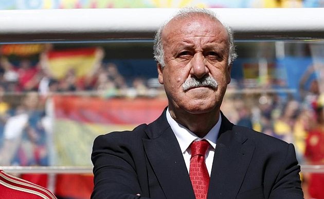 Del Bosque stays on as Spain boss