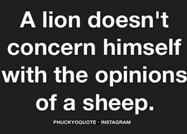A lion doesn't concern himself with the opinions of a sheep