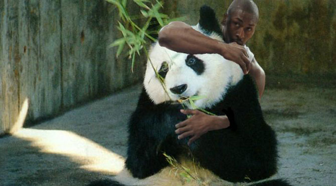 Metta es ahora 'el amigo de los pandas'