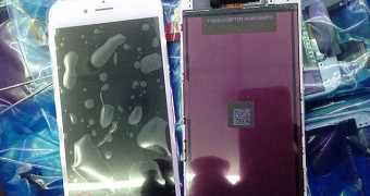 Imágenes del panel frontal y otros componentes del iPhone 6