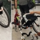 Rompen la silla de ruedas a un tenista paralmpico durante un vuelo y no se la pagan