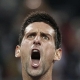 Ferrer cae ante un gran Djokovic