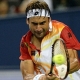 Ferrer se clasifica para cuartos de final del torneo de Viena