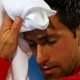 Djokovic estar en el torneo de Doha