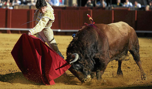 Juan del lamo se deja un toro vivo