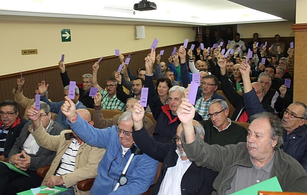 Los asamblestas votan por la huelga. Foto: Federacin Interinsular de Ftbol de Las Palmas.