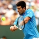 Djokovic: La confianza es difcil de ganar y fcil de perder