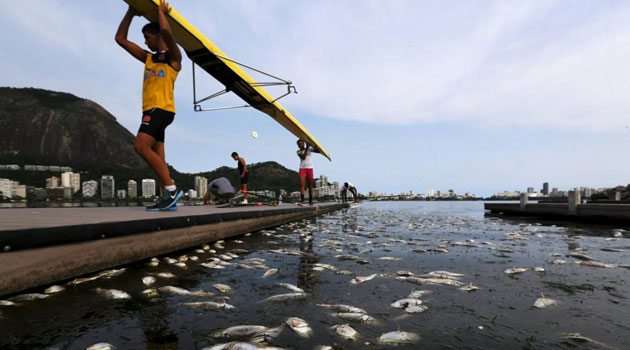 Retiran 32 toneladas de peces muertos en la sede olmpica de remo y piragismo en Ro