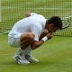 Djokovic come un trozo de hierba tras ganar en Wimbledon: "Siempre pens en hacer algo loco"