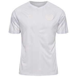 Segunda camiseta Dinamarca, Mundial Qatar 2022